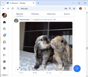 Screenshot of an image on the Bluesky Social app.